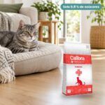 Gato junto a Calibra Dieta Veterinaria Diabetes Pienso para Gatos