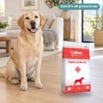 Perro junto a Calibra Dieta Veterinaria Diabetes & Obesity Pienso para Perros