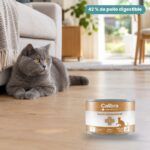 Gato junto a Calibra Dieta Veterinaria Gastrointestinal para Gatos en Lata Pack 6x200 g