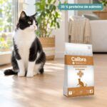 Gato junto a Calibra Dieta Veterinaria Gastrointestinal y Páncreas Pienso para Gatos