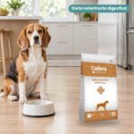 Perro junto a Calibra Veterinary Diets Dog Gastrointestinal & Pancreas de Calibra