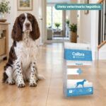 Perro junto a Calibra Veterinary Diets Dog Hepatic de Calibra