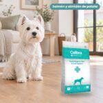 Perro junto a Calibra Dieta Veterinaria Hypoallergenic Skin & Coat Support Pienso para Perros