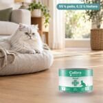 Gato junto a Calibra Dieta Veterinaria Renal para Gatos en Lata Pack 6x200 g