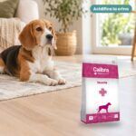 Perro junto a Calibra Dieta Veterinaria Struvite Pienso para Perros