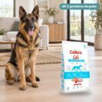 Perro junto a Calibra Dog Life Adult Large Breed Pollo Pienso para Perros Adultos de Raza Grande