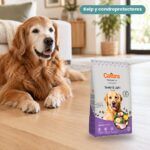 Perro junto a Calibra Dog Premium Line Senior & Light Pollo Pienso para Perros