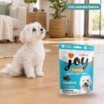 Perro junto a Calibra Joy Training Sensitive Puppy & Adult S Salmón Snack para Perros Pequeños 150 g