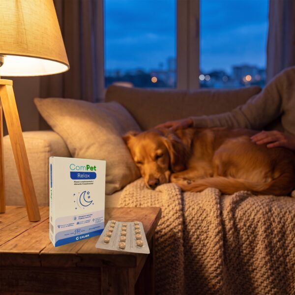 Calier Compet Relax Calmante Natural Perros Y Gatos 30 Comprimidos en uso