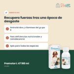 Calier Promotor L 47 Aminoácidos Y Vitaminas Para Mascotas 100 Ml - beneficios
