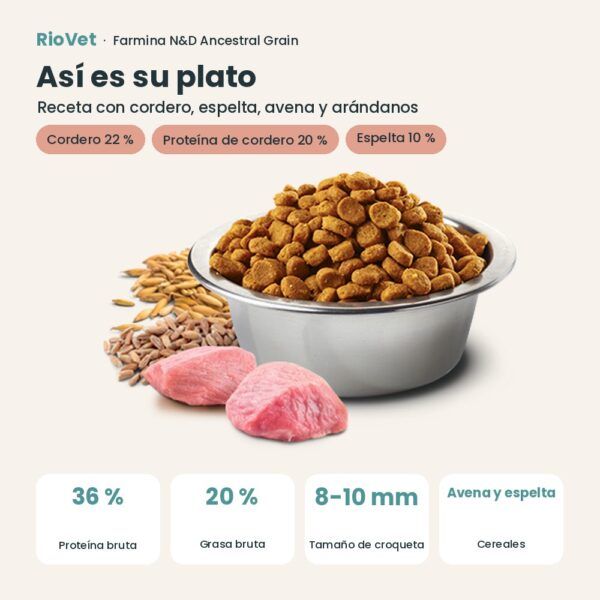 Composición de Farmina N&D Ancestral Grain Cordero y Arándanos Pienso para Gatos