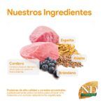 Farmina N&D Ancestral Grain Cordero y Arándanos Pienso para Gatos - información oficial Farmina 4