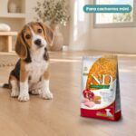 Cachorro junto a Farmina N&D Ancestral Grain Pollo y Granada Pienso para Cachorros Mini