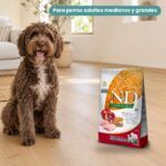 Perro junto a Farmina N&D Ancestral Grain Pollo y Granada Pienso para Perros Medianos y Grandes 12 kg