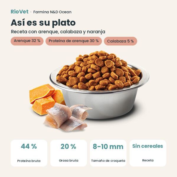 Composición de Farmina N&D Ocean Arenque, Calabaza y Naranja Pienso Sin Cereales para Gatos