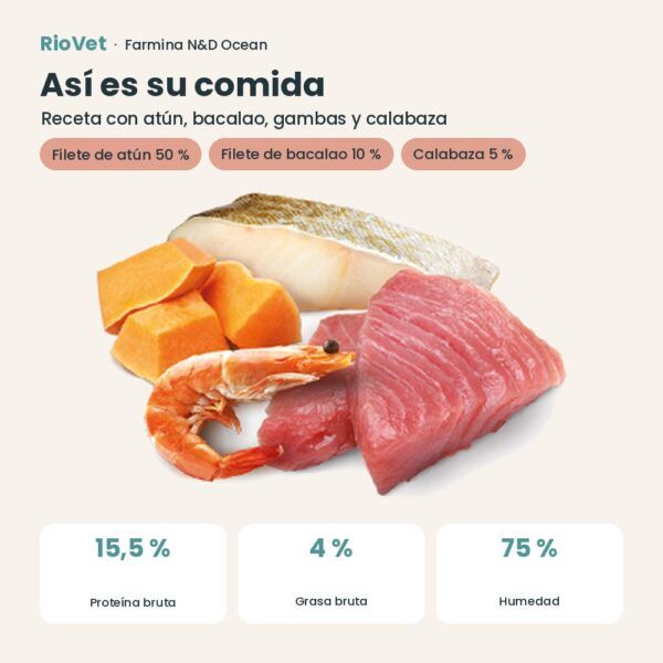 Composición de Farmina N&D Ocean Atún, Bacalao, Gambas y Calabaza Comida Húmeda para Gatitos