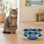 Gato junto a Farmina N&D Ocean Atún, Bacalao, Gambas y Calabaza Comida Húmeda para Gatos