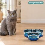 Gato junto a Farmina N&D Ocean Atún, Calamar y Gambas Comida Húmeda para Gatos