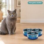 Gato junto a Farmina N&D Ocean Atún, Sardina y Gambas Comida Húmeda para Gatos
