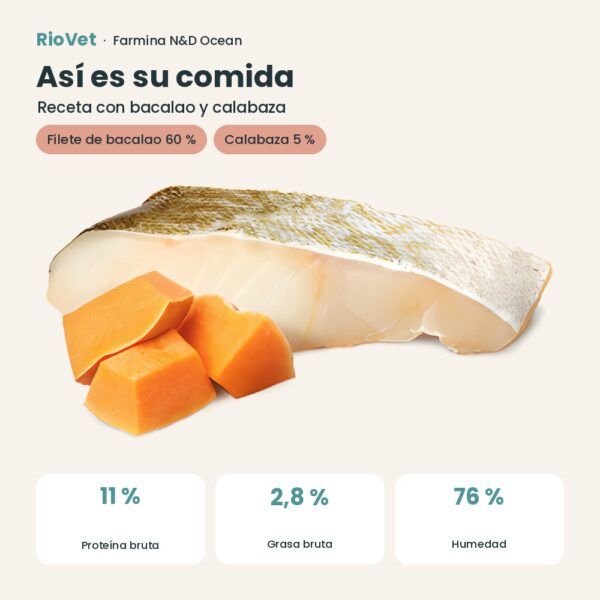 Composición de Farmina N&D Ocean Bacalao y Calabaza Comida Húmeda para Perros