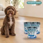 Perro junto a Farmina N&D Ocean Bacalao y Calabaza Comida Húmeda para Perros