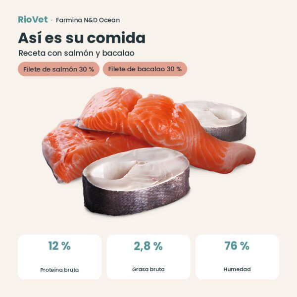Composición de Farmina N&D Ocean Salmón y Bacalao Comida Húmeda para Perros