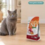 Gato junto a Farmina N&D Pumpkin Codorniz, Calabaza y Granada Pienso Sin Cereales para Gatos