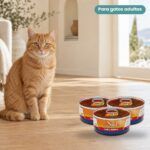 Gato junto a Farmina N&D Pumpkin Codorniz y Calabaza Comida Húmeda para Gatos