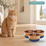 Gato junto a Farmina N&D Pumpkin Cordero, Calabaza y Arándanos Comida Húmeda para Gatos