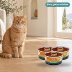 Gato junto a Farmina N&D Pumpkin Pato y Calabaza Comida Húmeda para Gatos