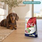 Perro junto a Farmina N&D Quinoa Digestion Cordero Pienso Sin Cereales para Perros Mini