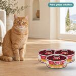 Gato junto a Farmina N&D Quinoa Skin & Coat Arenque Comida Húmeda para Gatos