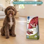 Perro junto a Farmina N&D Quinoa Skin & Coat Pato Pienso Sin Cereales para Perros Medianos y Grandes