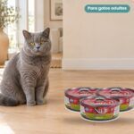 Gato junto a Farmina N&D Quinoa Urinary Pato Comida Húmeda para Gatos
