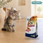 Gatito junto a Farmina N&D Tropical Selection Cordero y Frutas Tropicales Pienso para Gatitos 1,5 kg