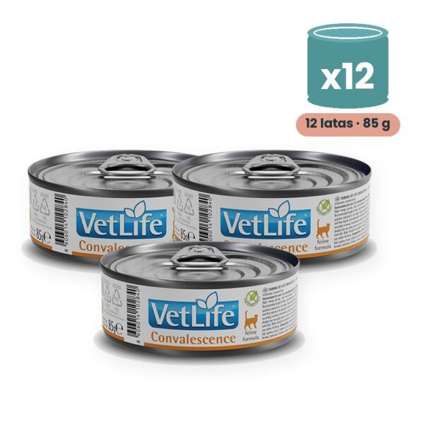Farmina Vet Life Convalescence Comida Húmeda para Gatos Pack 12x85 g
