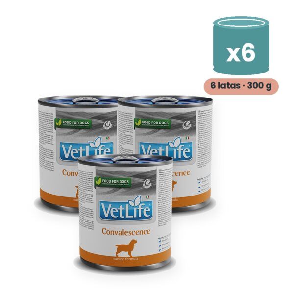 Farmina Vet Life Convalescence Comida Húmeda para Perros Pack 6x300 g