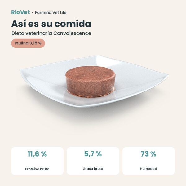 Composición de Farmina Vet Life Convalescence Comida Húmeda para Perros