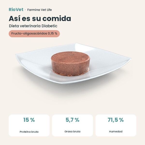 Composición de Farmina Vet Life Diabetic Comida Húmeda para Gatos