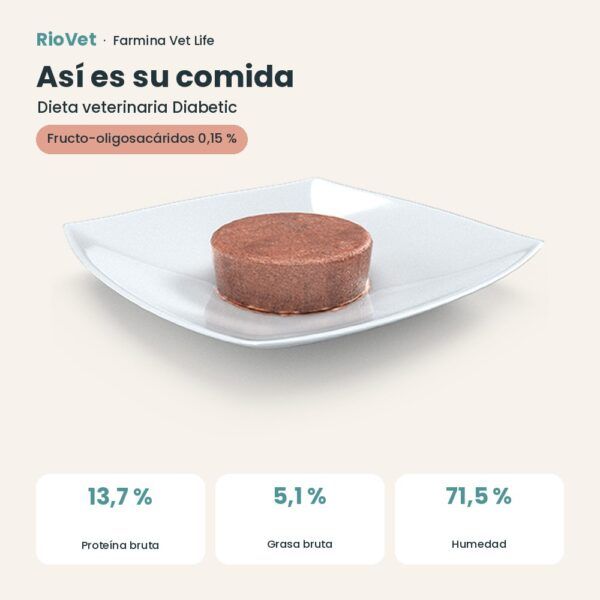 Composición de Farmina Vet Life Diabetic Comida Húmeda para Perros
