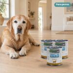 Perro junto a Farmina Vet Life Diabetic Comida Húmeda para Perros