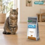 Gato junto a Farmina Vet Life Diabetic Pienso para Gatos