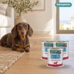 Perro junto a Farmina Vet Life Gastrointestinal Comida Húmeda para Perros