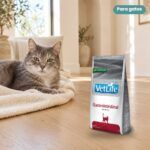 Gato junto a Farmina Vet Life Gastrointestinal Pienso para Gatos