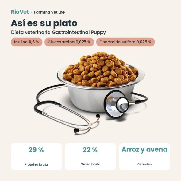 Composición de Farmina Vet Life Gastrointestinal Puppy Pienso para Cachorros