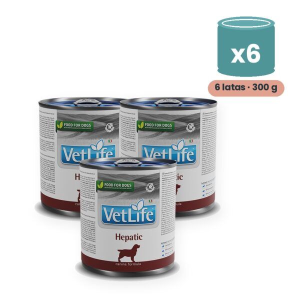 Farmina Vet Life Hepatic Comida Húmeda para Perros Pack 6x300 g