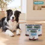 Perro junto a Farmina Vet Life Hepatic Comida Húmeda para Perros