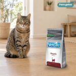 Gato junto a Farmina Vet Life Hepatic Pienso para Gatos