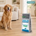 Perro junto a Farmina Vet Life Hypoallergenic Huevo y Arroz Pienso para Perros