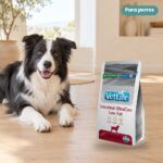 Perro junto a Farmina Vet Life Intestinal UltraCare Low Fat Pienso para Perros